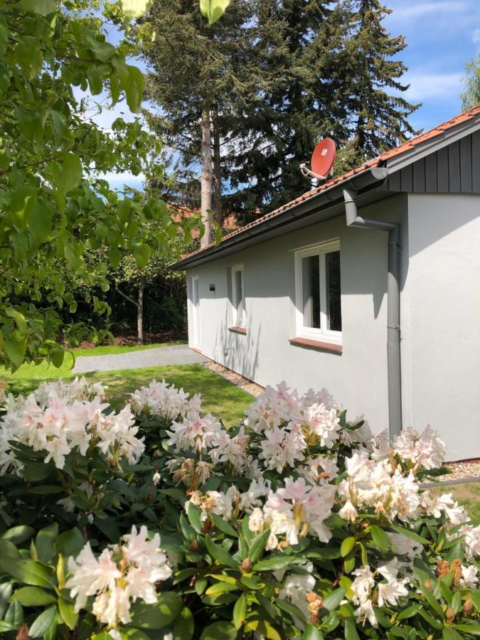Kleine Auszeit In Salzhausen Βίλα Εξωτερικό φωτογραφία